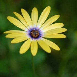 Meet your Posher, Mclean